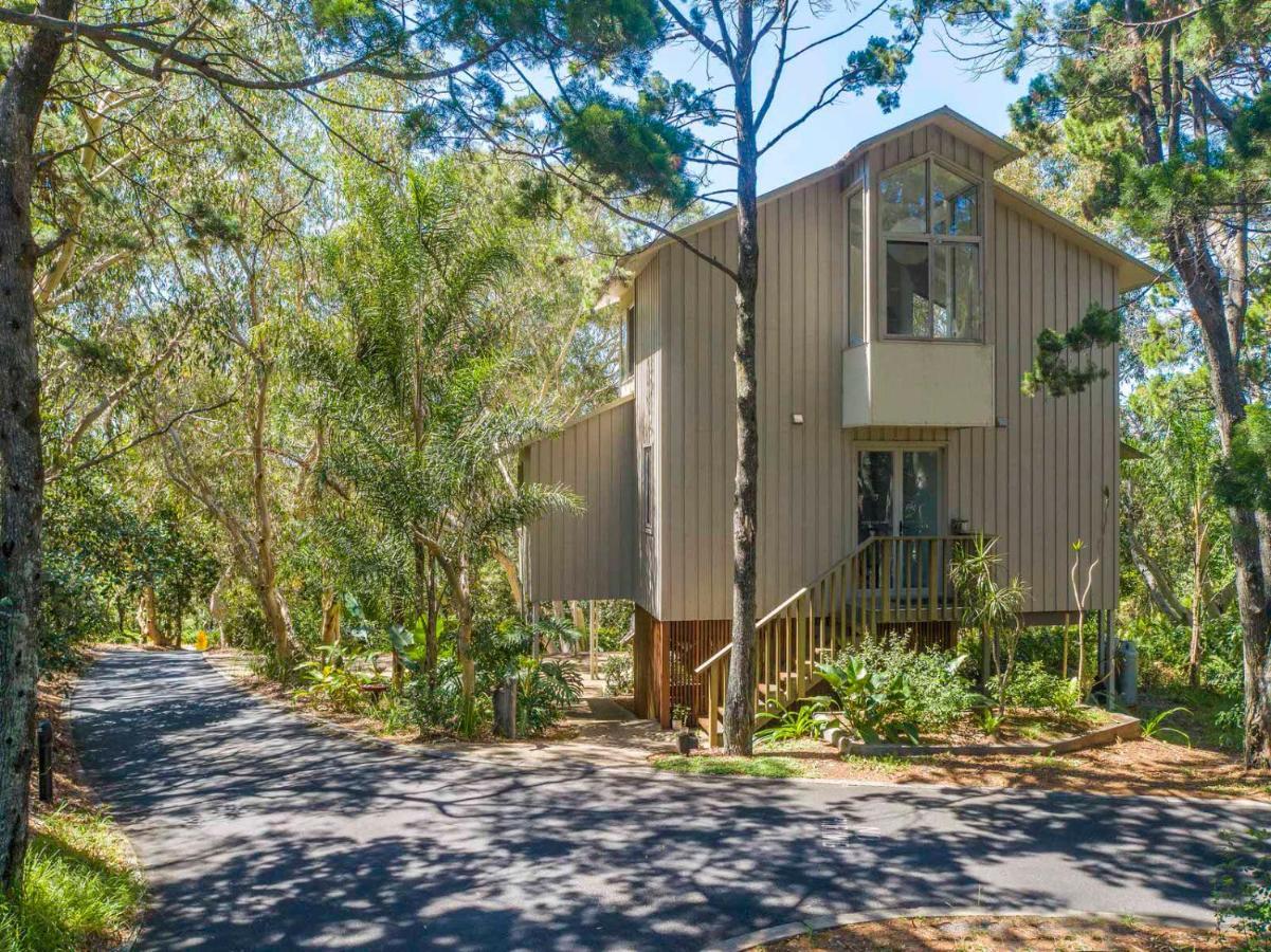 The Oasis Apartments And Treetop Houses Byron Bay Eksteriør bilde