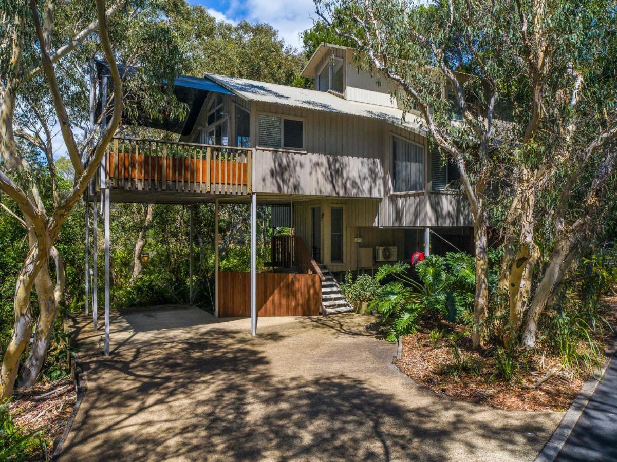 The Oasis Apartments And Treetop Houses Byron Bay Eksteriør bilde