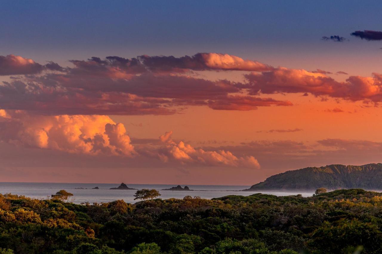 The Oasis Apartments And Treetop Houses Byron Bay Eksteriør bilde